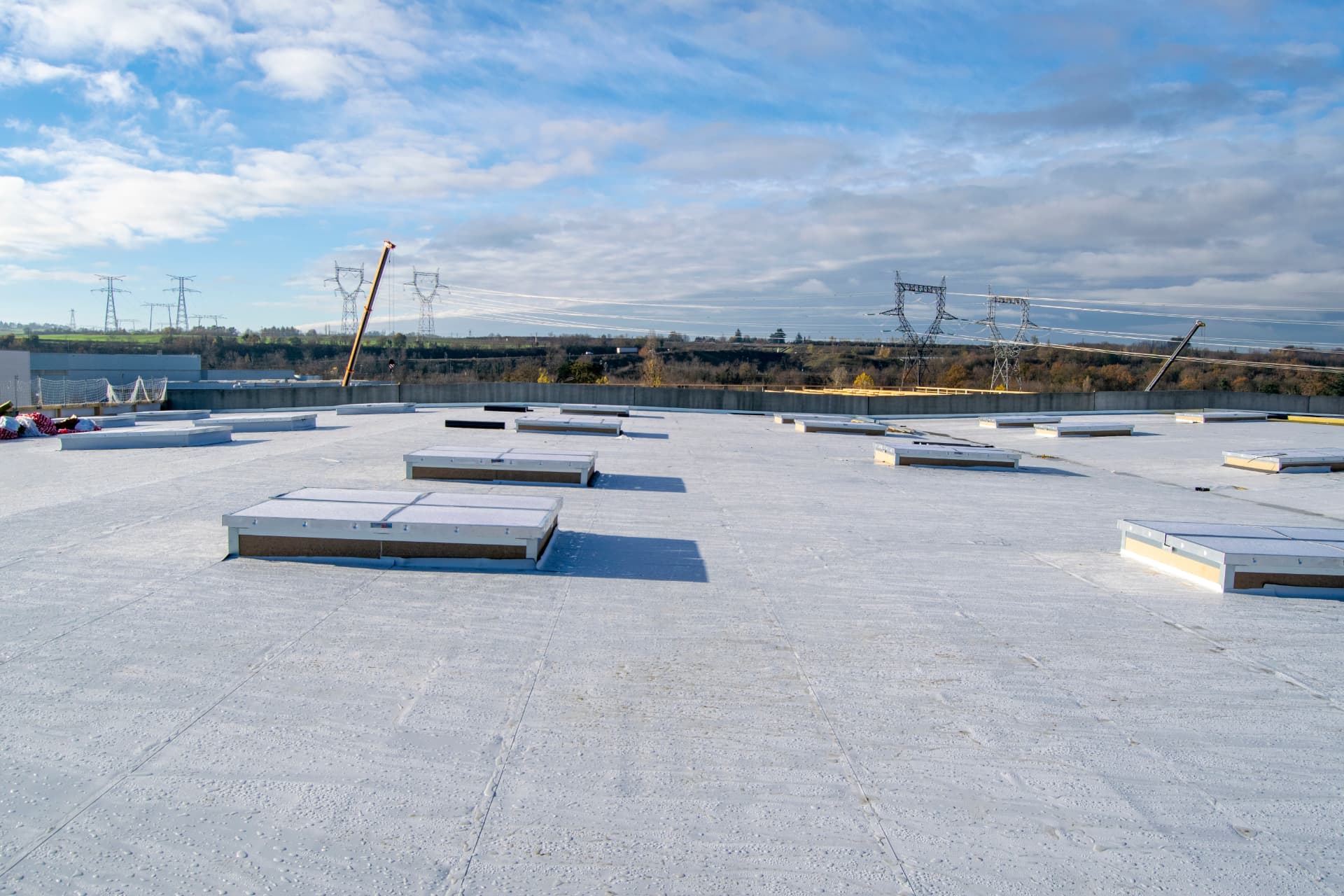 Stort industritag med ovenlyskupler før silikonerenovering